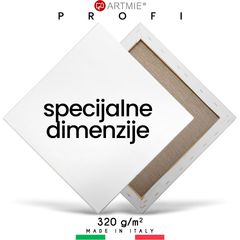 Slikarsko platno na okviru PROFI ARTMIE / specijalne veličine