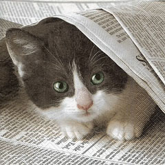 Salvete za DEKUPAŽ - Dobre vesti - 1 kom