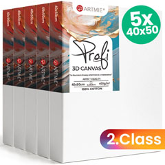 ARTMIE 3D set platna - 5 dijelova - 2. kvaliteta - 40x50 cm