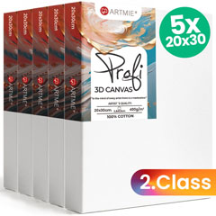 ARTMIE 3D set platna (5 kom) - 2. kvaliteta - 20x30 cm
