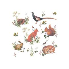 Decoupage salvete - Wild Forest Animals - 1kom