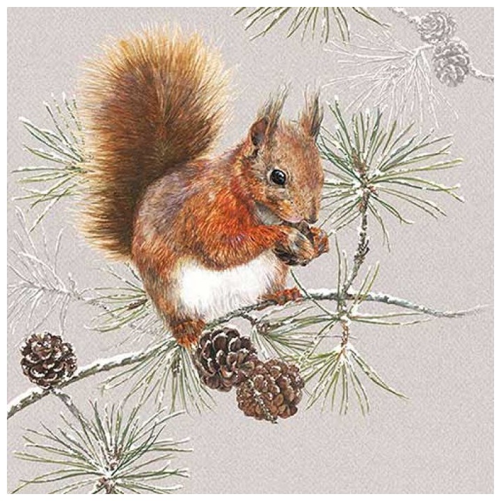 Eko salvete za dekupaž Squirrel in Winter - 1 komad