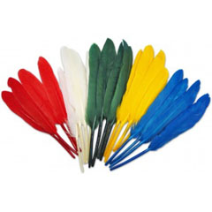 Indijanska pera 10-17cm - 8 kom