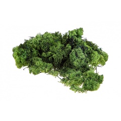 Islandska mahovina 500 g | izaberi boju