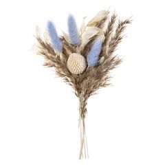Mini sušeni buket "Savannah Blue"