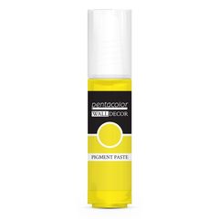 Pigmentna pasta za zidne dekoracije 20 ml | Razne nijanse
