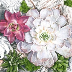 Salveta za dekupaž Succulent Plants and Stones Composition - 1 kom