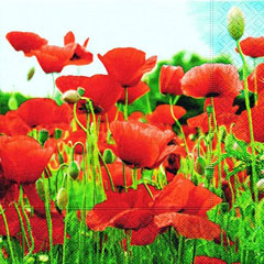 Salvete za DEKUPAŽ - Field of poppies - 1 kom 