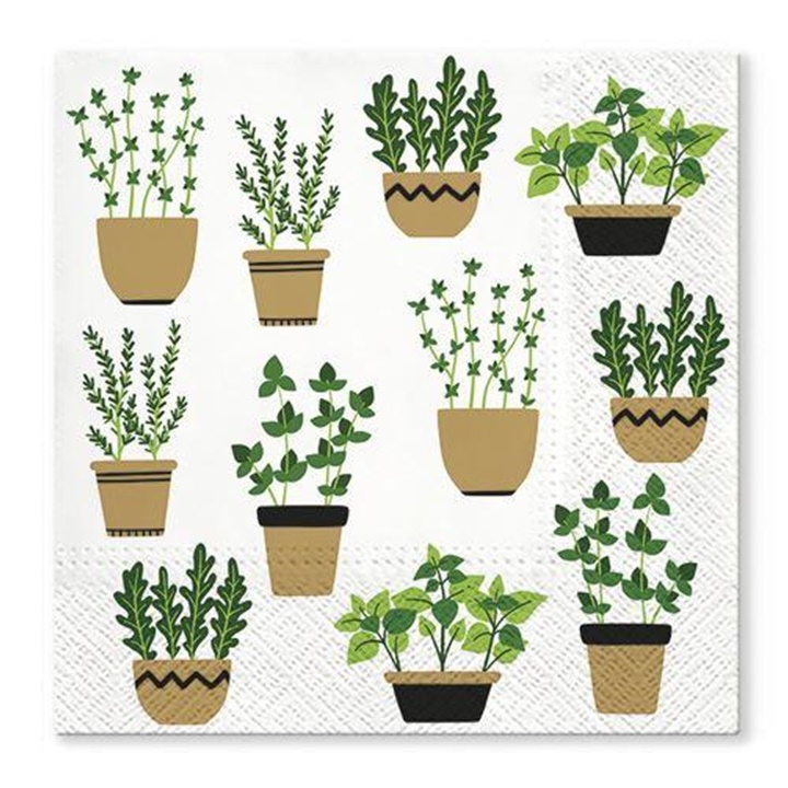 Salvete za dekupaž Herbs in Pot - 1 komad