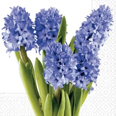 Salvete za dekupaž Hyacinths - 1 komad