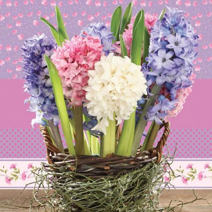 Salvete za dekupaž Hyacinths in the Basket - 1 komad