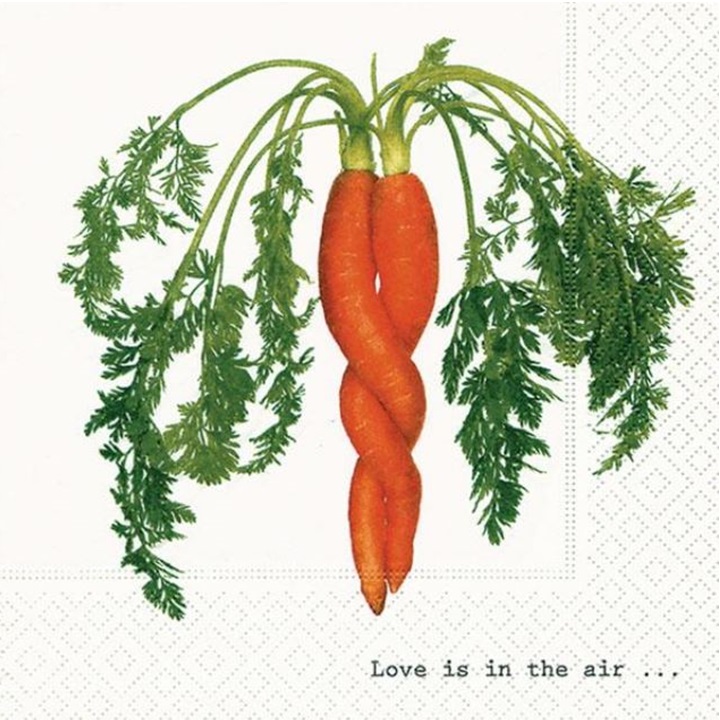 Salvete za dekupaž Intertwined Carrot - 1 kom 