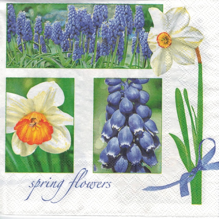 Salvete za dekupaž Muscari & Narcissus - 1 kom 