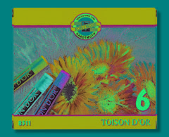 Set suhih pastela Toison D OR Koh-i-noor 6-djelni