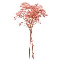 Svijetloružičasta gipsofila - 4 stabljike, 20 cm