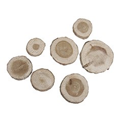 Ukras od drva bora - 100 g